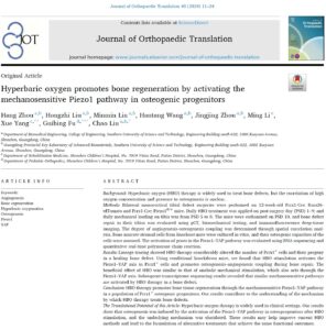 Read more about the article Zhou Hang’s paper published – Journal of Orthopaedic Translation